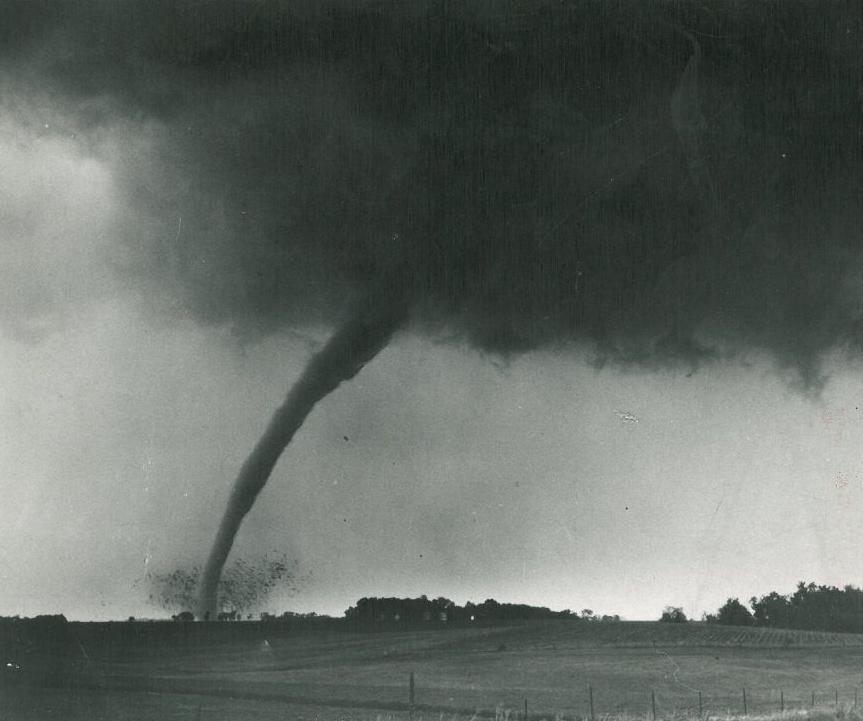 It's a Twister!